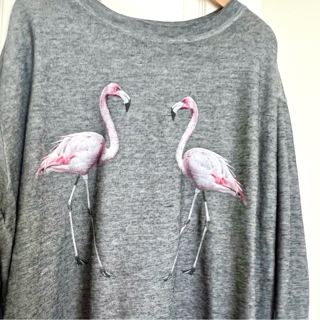 Wildfox Couture Flamingo Sweatshirt, Size S, Oversize